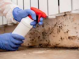 Mold Documentation for Insurance Claims in Elwood, IL